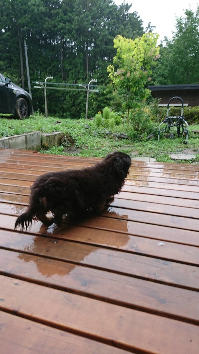 f:id:roukenhome-ann:20190715183243j:plain