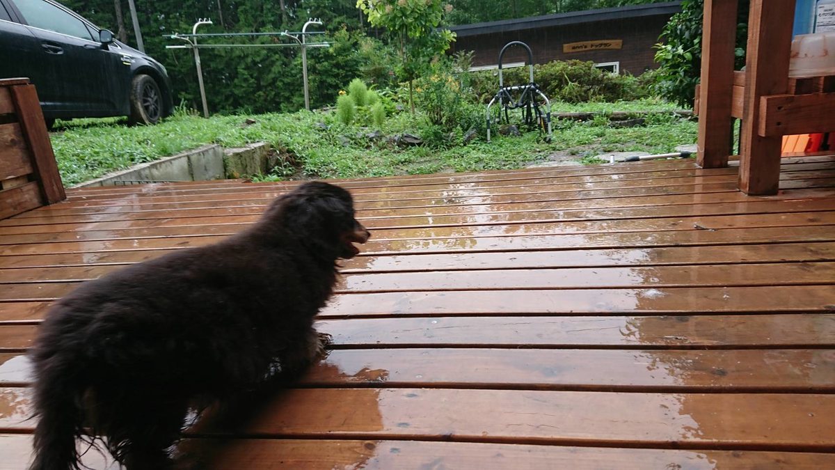 f:id:roukenhome-ann:20190715183251j:plain