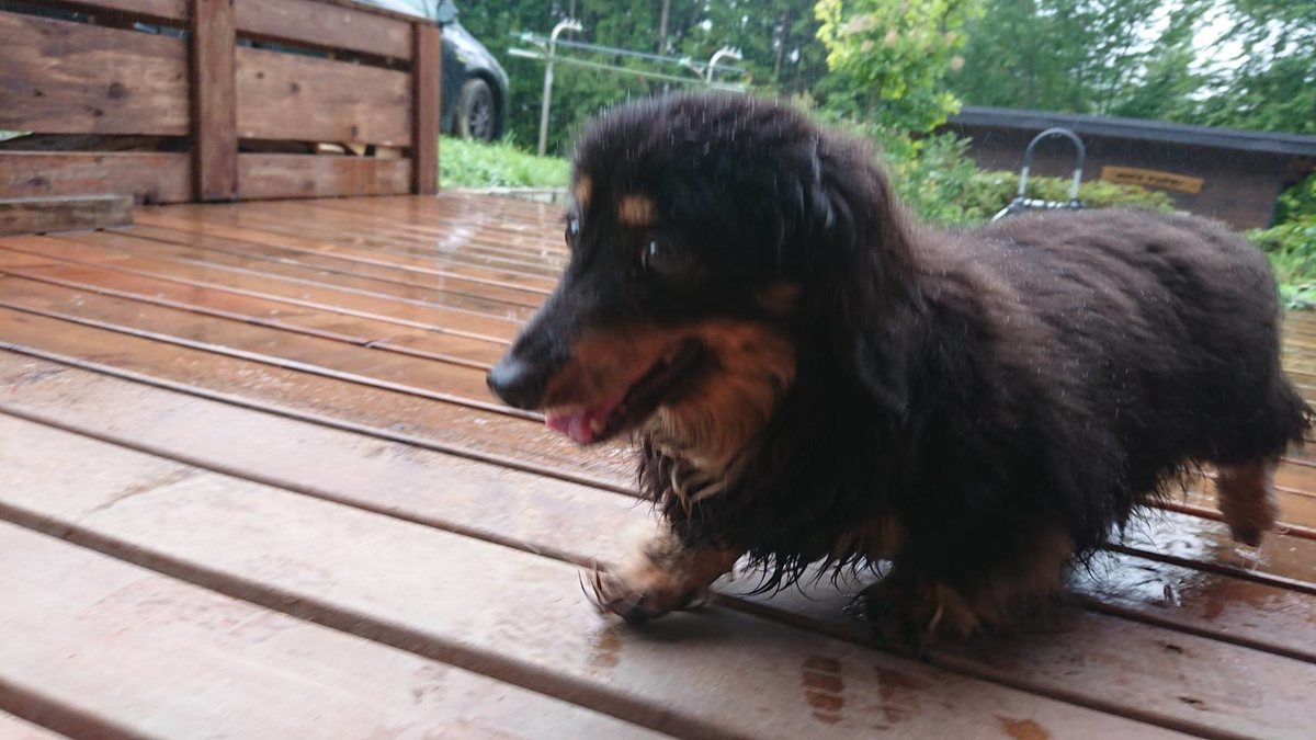 f:id:roukenhome-ann:20190715183259j:plain