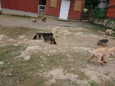 f:id:roukenhome-ann:20190717152250j:plain