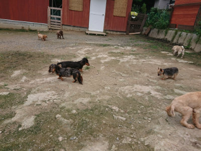 f:id:roukenhome-ann:20190717152309j:plain