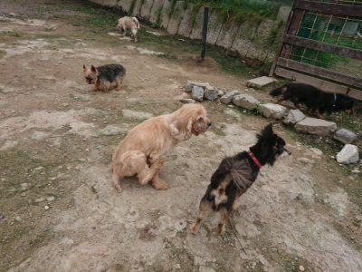 f:id:roukenhome-ann:20190717152314j:plain