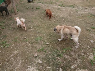 f:id:roukenhome-ann:20190717152339j:plain