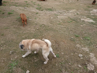 f:id:roukenhome-ann:20190717152343j:plain
