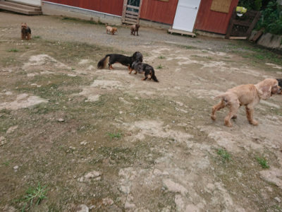 f:id:roukenhome-ann:20190717152411j:plain