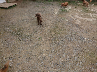 f:id:roukenhome-ann:20190717152439j:plain