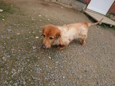 f:id:roukenhome-ann:20190717152444j:plain