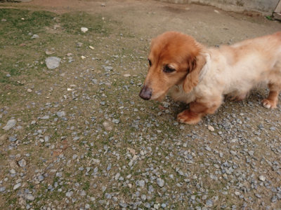 f:id:roukenhome-ann:20190717152449j:plain