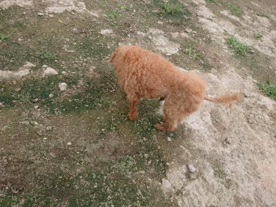 f:id:roukenhome-ann:20190717152453j:plain