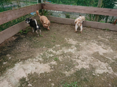 f:id:roukenhome-ann:20190717152500j:plain