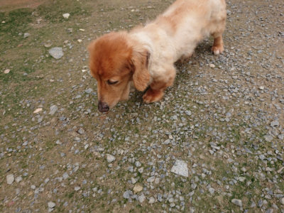 f:id:roukenhome-ann:20190717152511j:plain