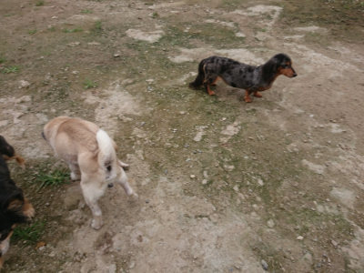 f:id:roukenhome-ann:20190717152549j:plain