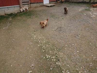 f:id:roukenhome-ann:20190717152600j:plain