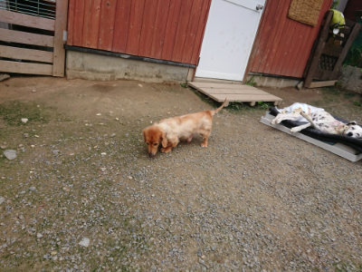 f:id:roukenhome-ann:20190717152611j:plain