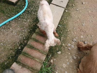 f:id:roukenhome-ann:20190717152653j:plain