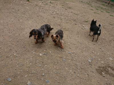 f:id:roukenhome-ann:20190717152658j:plain