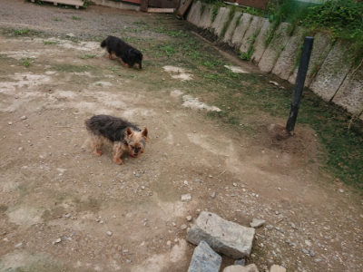 f:id:roukenhome-ann:20190717152717j:plain