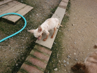 f:id:roukenhome-ann:20190717152722j:plain