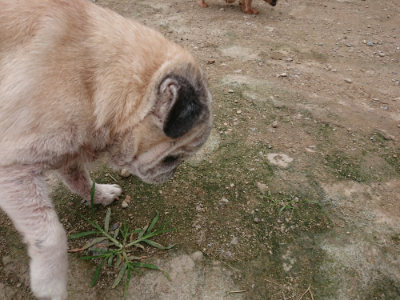 f:id:roukenhome-ann:20190717152741j:plain