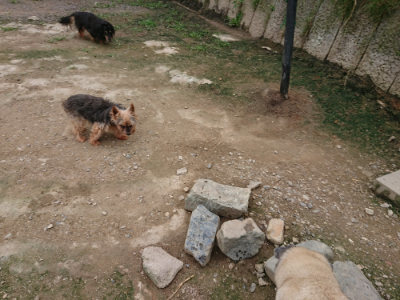 f:id:roukenhome-ann:20190717152803j:plain