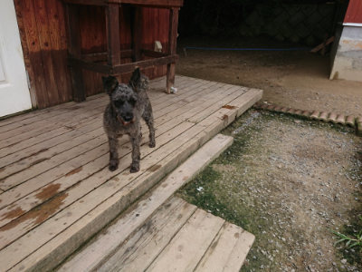 f:id:roukenhome-ann:20190717152814j:plain