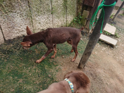 f:id:roukenhome-ann:20190717173703j:plain