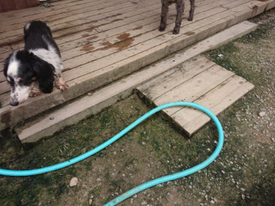 f:id:roukenhome-ann:20190717173711j:plain
