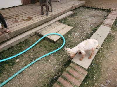 f:id:roukenhome-ann:20190717173737j:plain