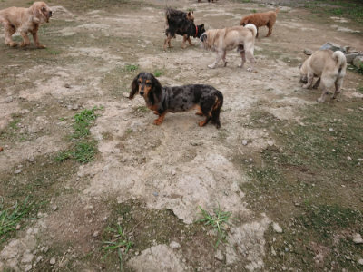 f:id:roukenhome-ann:20190717173820j:plain