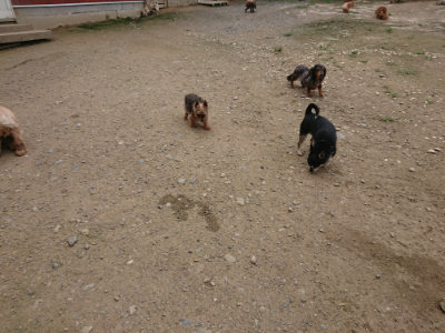 f:id:roukenhome-ann:20190717173849j:plain