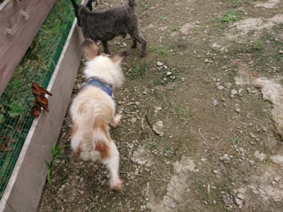 f:id:roukenhome-ann:20190717173941j:plain