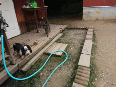 f:id:roukenhome-ann:20190717173951j:plain