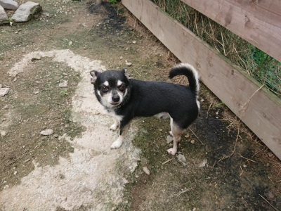f:id:roukenhome-ann:20190717174001j:plain