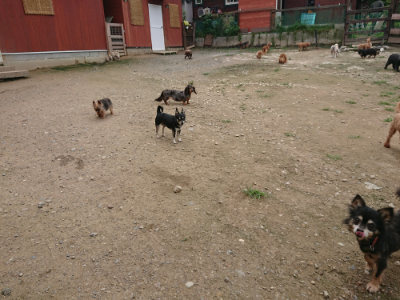 f:id:roukenhome-ann:20190717174041j:plain