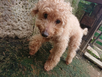 f:id:roukenhome-ann:20190717174117j:plain