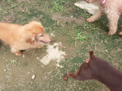 f:id:roukenhome-ann:20190717174122j:plain