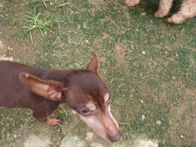 f:id:roukenhome-ann:20190717174200j:plain