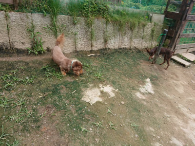 f:id:roukenhome-ann:20190717174232j:plain