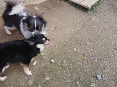 f:id:roukenhome-ann:20190717175046j:plain