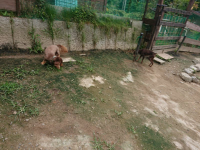 f:id:roukenhome-ann:20190717175105j:plain