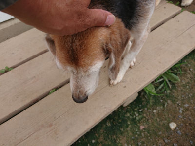 f:id:roukenhome-ann:20190717175110j:plain