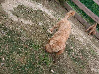 f:id:roukenhome-ann:20190717175146j:plain