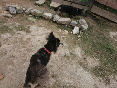 f:id:roukenhome-ann:20190717175210j:plain