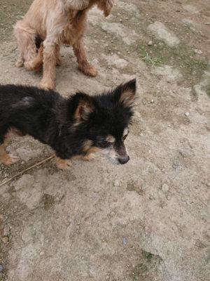 f:id:roukenhome-ann:20190717175240j:plain