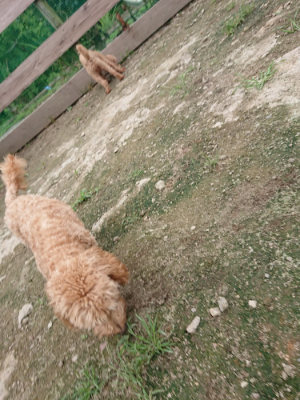 f:id:roukenhome-ann:20190717175245j:plain