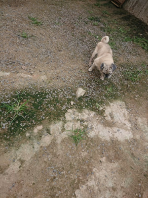 f:id:roukenhome-ann:20190717175343j:plain