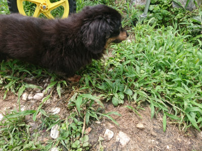 f:id:roukenhome-ann:20190717175429j:plain