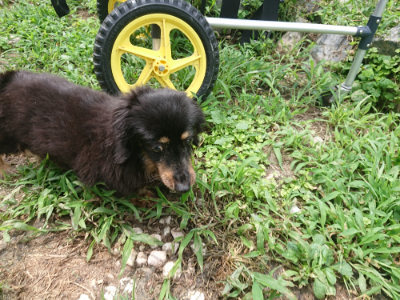 f:id:roukenhome-ann:20190717175450j:plain