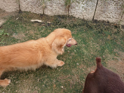 f:id:roukenhome-ann:20190717175456j:plain