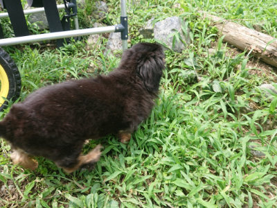 f:id:roukenhome-ann:20190717175536j:plain